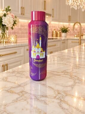 Starbucks Disneyland Resort 2023 Stainless Steel Bottle 20oz Pink Purple NWT